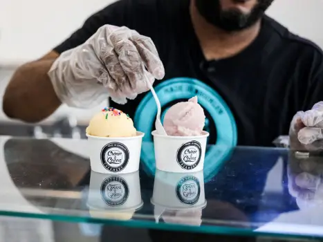 Growth story for Icecream & Bakery Business